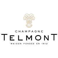 云南回收玳慕香槟TELMONT-品牌介绍